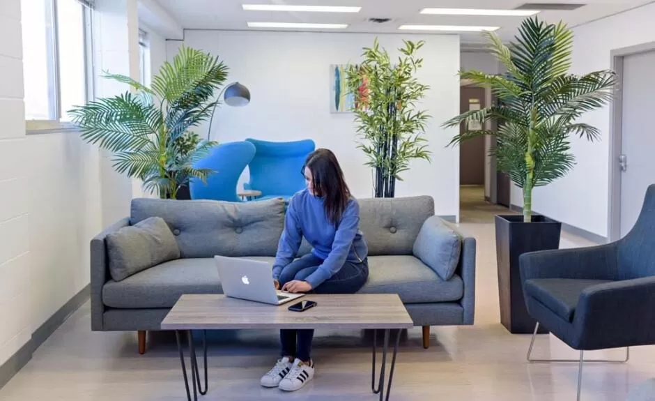 A woman sitting on a couch with a laptop.